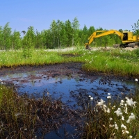 Waterborne & Shoreline